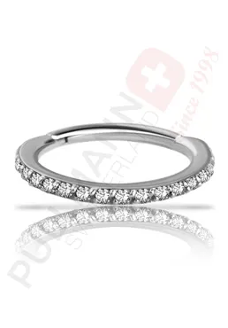 Segmentring mit Zirkonia