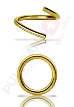 18Karat Gold Segmentring